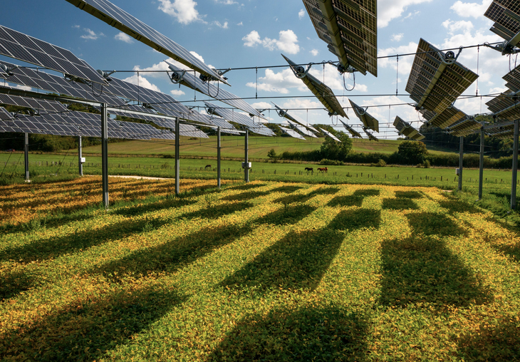Agrivoltaïsme